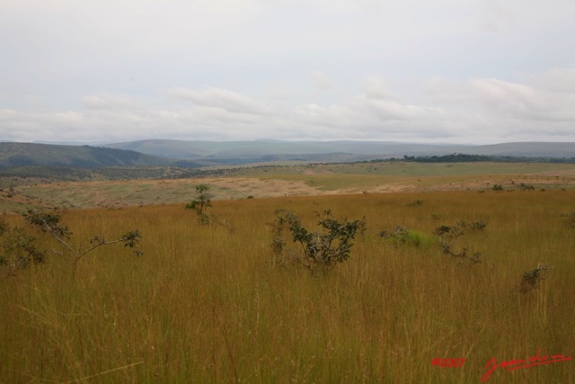 019 Canyon Blanc Savane IMG_3761WTMK.jpg