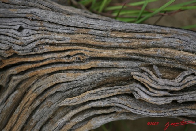 020 Canyon Blanc Branche Morte IMG_3569WTMK.jpg