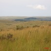 026 Canyon Blanc Savane IMG_3762WTMK.jpg