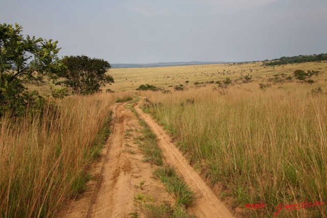 029 Canyon Blanc Savane et Piste IMG_3798WTMK.jpg
