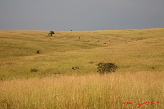 033 Canyon Blanc Savane IMG_3810wtmk.jpg