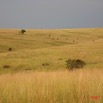 033 Canyon Blanc Savane IMG_3810wtmk.jpg