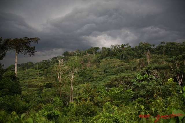 044 Orage sur la Foret IMG_4847WTMK.JPG