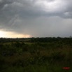 046 Orage sur la Brousse IMG_4859WTMK.JPG