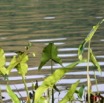 008 KABAGA Lac 7IMG_6822WTMK.JPG