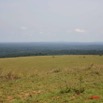 014 KABAGA Savane et Foret 7IMG_6864WTMK.JPG