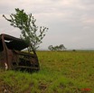 003 KABAGA Epave et Arbre 8EIMG_20163WTMK.jpg
