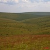 006 KABAGA Savane 8EIMG_20214WTMK.JPG