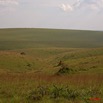007 KABAGA Savane 8EIMG_20225WTMK.JPG