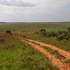 008 KABAGA Savane et Piste 8EIMG_20201WTMK.JPG