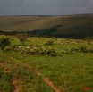 016 KABAGA Savane et Piste 8EIMG_20257WTMK.JPG