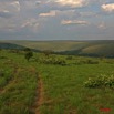 017 KABAGA Savane et Piste 8EIMG_20250WTMK.JPG