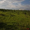018 KABAGA Savane 8EIMG_20271WTMK.JPG