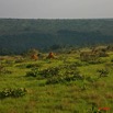 037 KABAGA Savane et Termitiere 8EIMG_20261WTMK.JPG