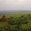 048 KABAGA Savane et Termitiere 8EIMG_20238WTMK.JPG