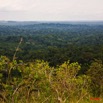 049 KABAGA Foret vers Akieni 8EIMG_20505wtmk.JPG