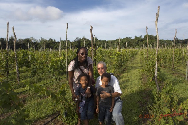 013 NGOUONI le Vignoble Equatorial en Famille 14E5K3IMG_96633wtmk.jpg