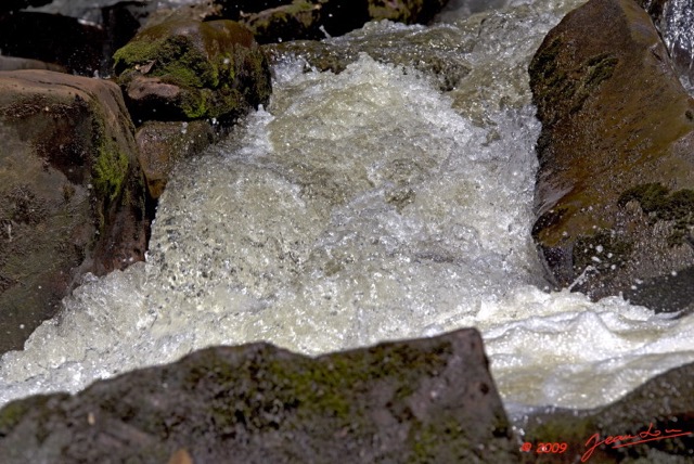 037 OBOLI Cascade 9E5K2IMG_53000wtmk.jpg