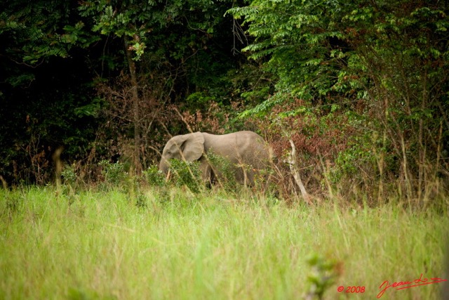 027 KESSALA Elephant Solitaire 8EIMG_25732wtmk.jpg