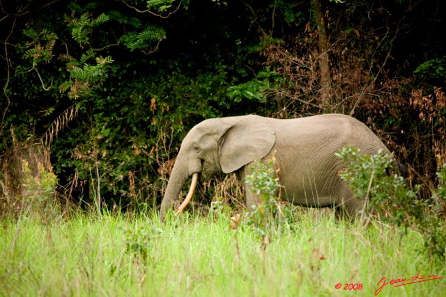 028 KESSALA Elephant Solitaire 8EIMG_25742wtmk.jpg