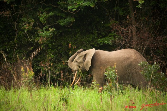 029 KESSALA Elephant Solitaire 8EIMG_25751wtmk.jpg