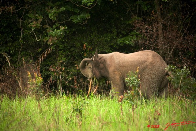 030 KESSALA Elephant Solitaire 8EIMG_25754wtmk.jpg