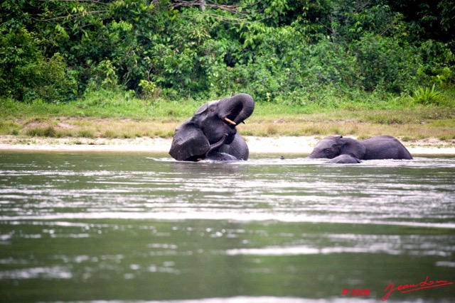 039 KESSALA Famille Elephant Plage 2 8EIMG_25826wtmk.jpg