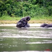 039 KESSALA Famille Elephant Plage 2 8EIMG_25826wtmk.jpg