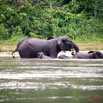 040 KESSALA Famille Elephant Plage 2 8EIMG_25838wtmk.jpg