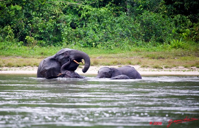 041 KESSALA Famille Elephant Plage 2 8EIMG_25831wtmk.jpg