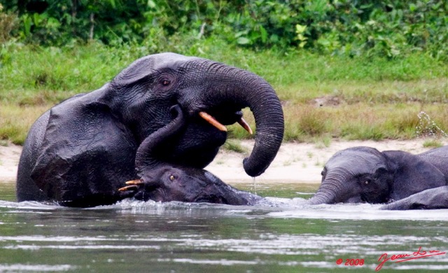 042 KESSALA Famille Elephant Plage 2a 8EIMG_25831wtmk.jpg