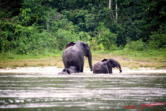 044 KESSALA Famille Elephant Plage 2 8EIMG_25843wtmk.jpg