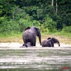 044 KESSALA Famille Elephant Plage 2 8EIMG_25843wtmk.jpg