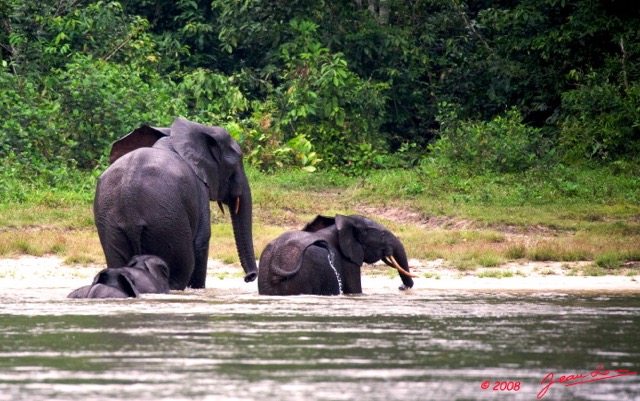 045 KESSALA Famille Elephant Plage 2a 8EIMG_25843wtmk.jpg