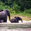 045 KESSALA Famille Elephant Plage 2a 8EIMG_25843wtmk.jpg