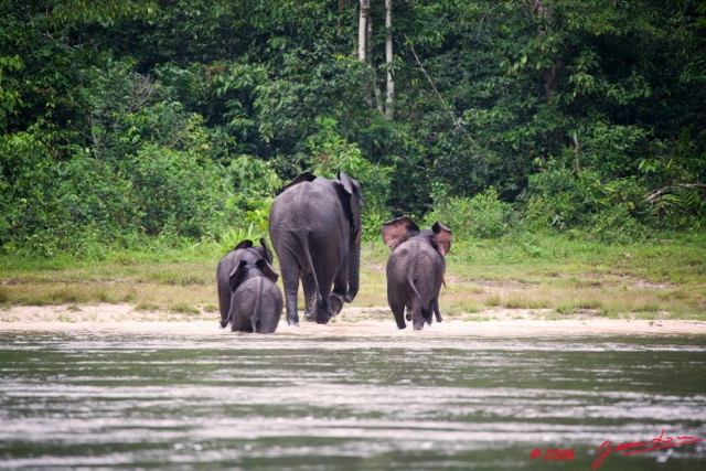 046 KESSALA Famille Elephant Plage 2 8EIMG_25846wtmk.jpg