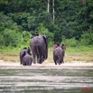 046 KESSALA Famille Elephant Plage 2 8EIMG_25846wtmk.jpg