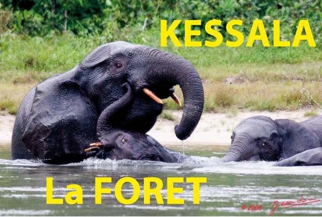 052 Titre Photos KESSALA La Foret.jpg