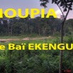 021 Titre Photos Moupia Bai Ekengue.jpg