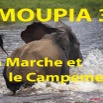 010 Titre Photos Moupia 3 Marche et Campement.jpg