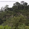 008 Inselberg Moanda Vue sur la Falaise Niveau Francevilien Fa 15E5K3IMG_115110wtmk.jpg