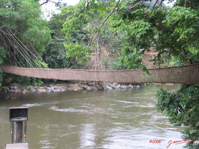 005 POUBARA Pont de Liane IMG_0417WTMK.JPG