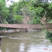 005 POUBARA Pont de Liane IMG_0417WTMK.JPG