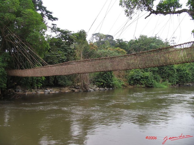 006 POUBARA Pont de Liane IMG_0419WTMK.JPG