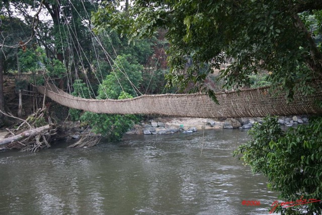 007 POUBARA Pont de Liane de Poubara IMG_0866WTMK.JPG