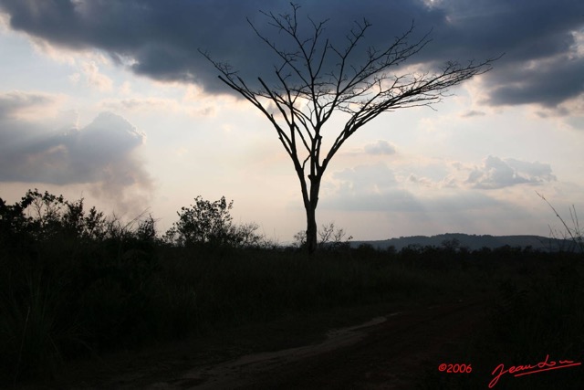 028 POUBARA Coucher de soleil sur arbre mort IMG_0932WTMK.JPG