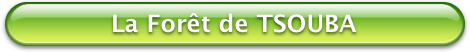 Bouton Vert la Foret de TSOUBA 470x52