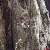 009 SIBANG Arbre a Cadenas 9E5K2IMG_53504wtmk.jpg