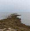 061 Cap Esterias Plage et Algues 15E5K3IMG_113703wtmk.jpg