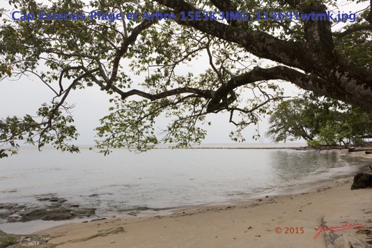 077 Cap Esterias Plage et Arbre 15E5K3IMG_113691wtmk.jpg